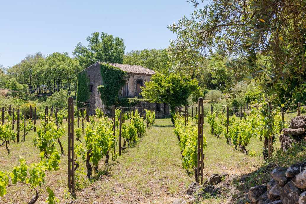 Dimora storica siciliana con vigneto Etna DOC