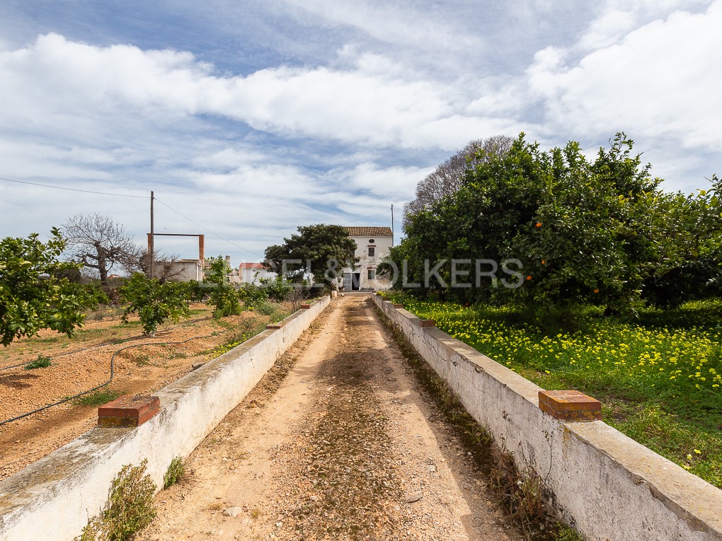 Property to renovate with young orange trees and well in Alzira