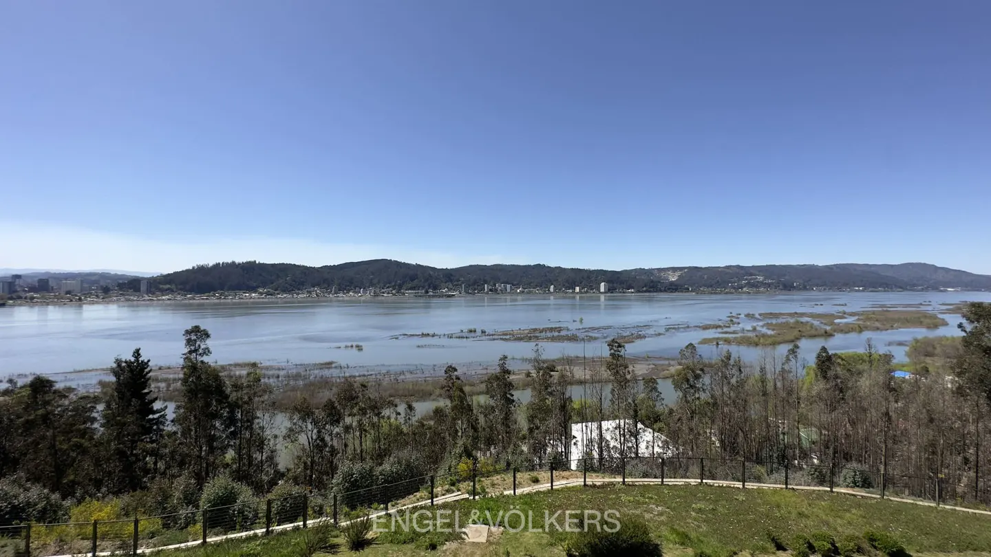 Panoramic view of a calm river and distant hills under a clear blue sky, seen from a grassy hillside with trees.