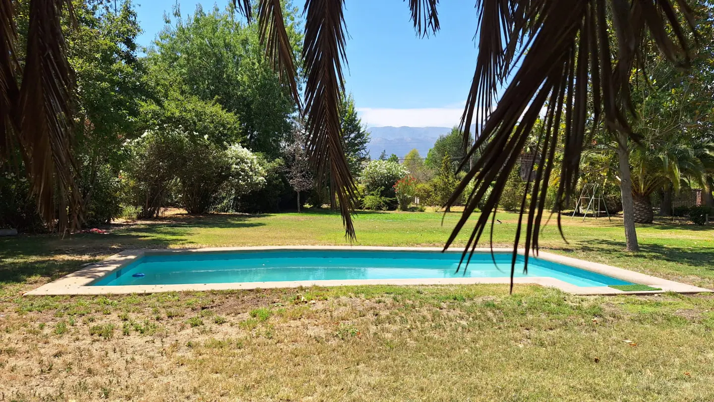 A turquoise swimming pool set in a lush green backyard with palm tree fronds in the foreground and mountains in the back.
