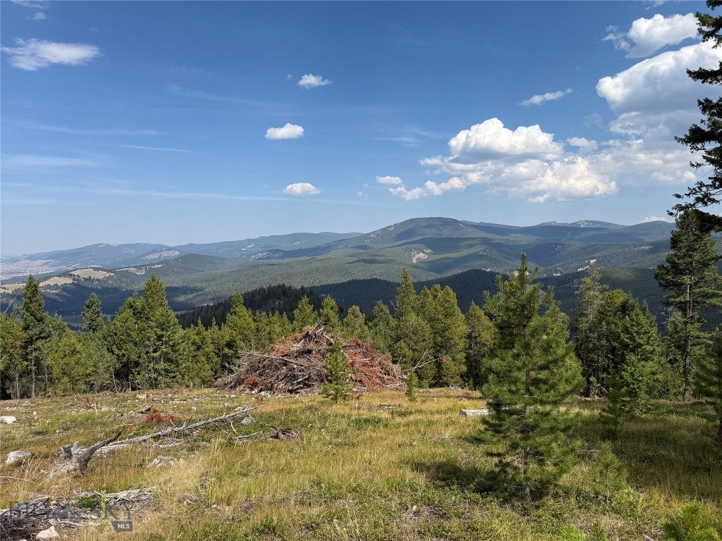 Ready to Build 20 + Acres with Private Well and Power to Lot