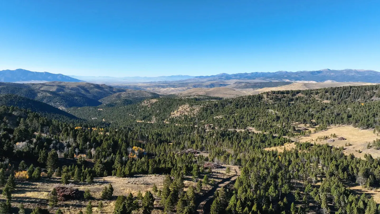 Scenic view of a forested valley with mountains in the distance under a clear blue sky.