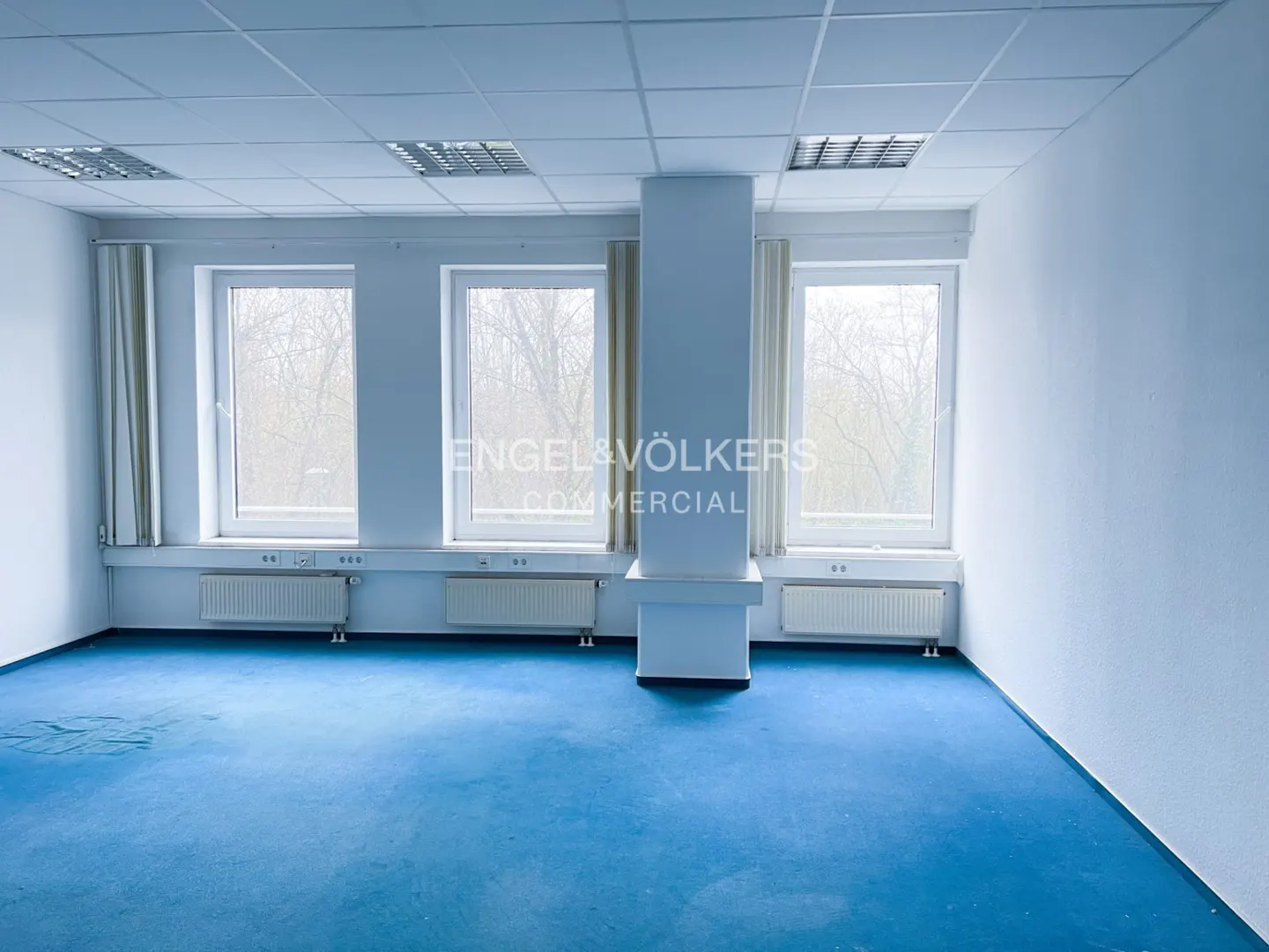 Empty office space with white walls, blue carpet, three large windows, and white radiators under a drop ceiling.