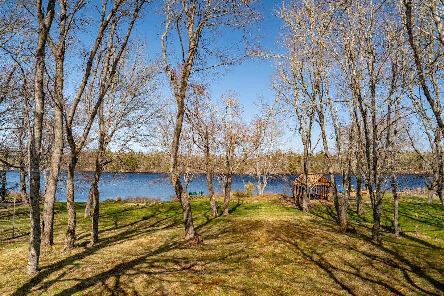 Lake view through trees. A wooden gazebo sits on the shore. Blue sky.