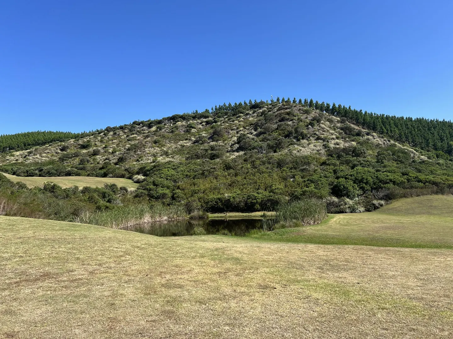 Pezula Private Estate
