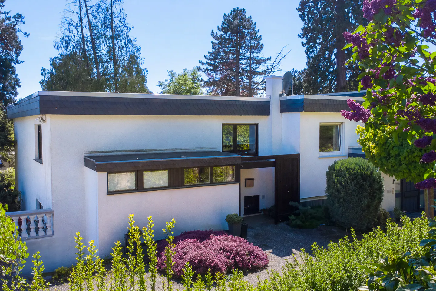Modern white house with a flat, dark roof, surrounded by green trees and purple flowers.