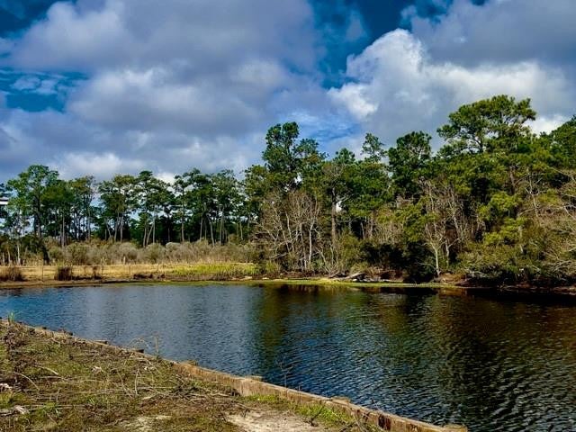 Serene Waterfront Lot with Spectacular Wildlife Refuge Views