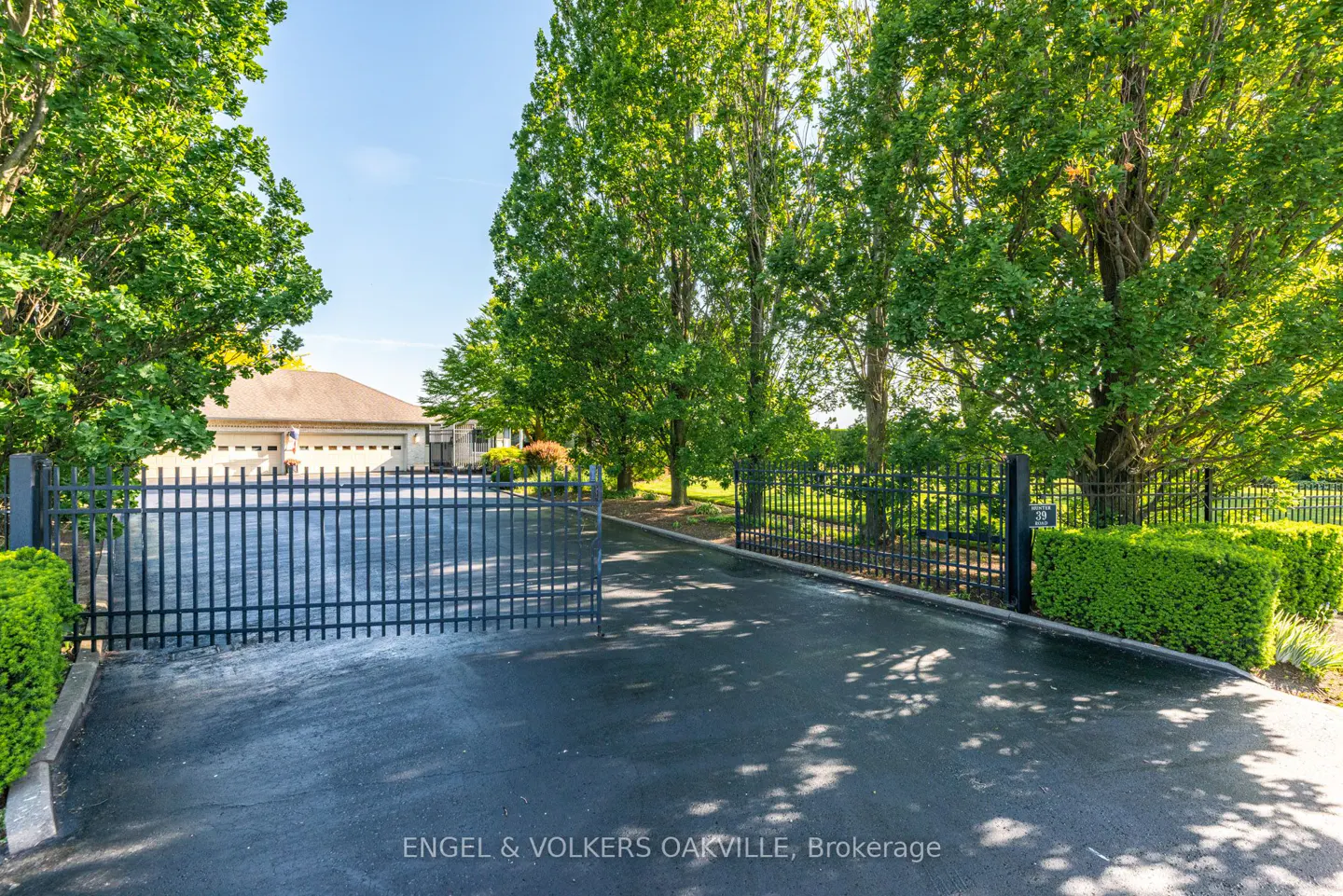 A black metal gate opens to a paved driveway leading to a suburban house surrounded by lush green trees on a sunny day.