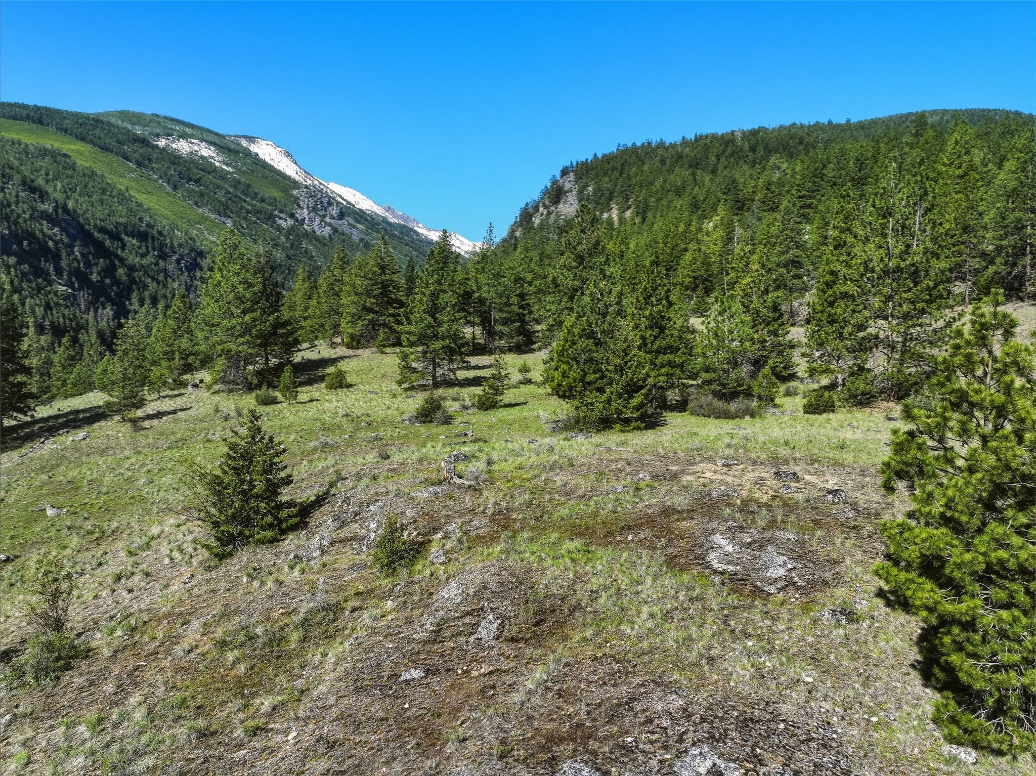59+ Acres with Valley Views