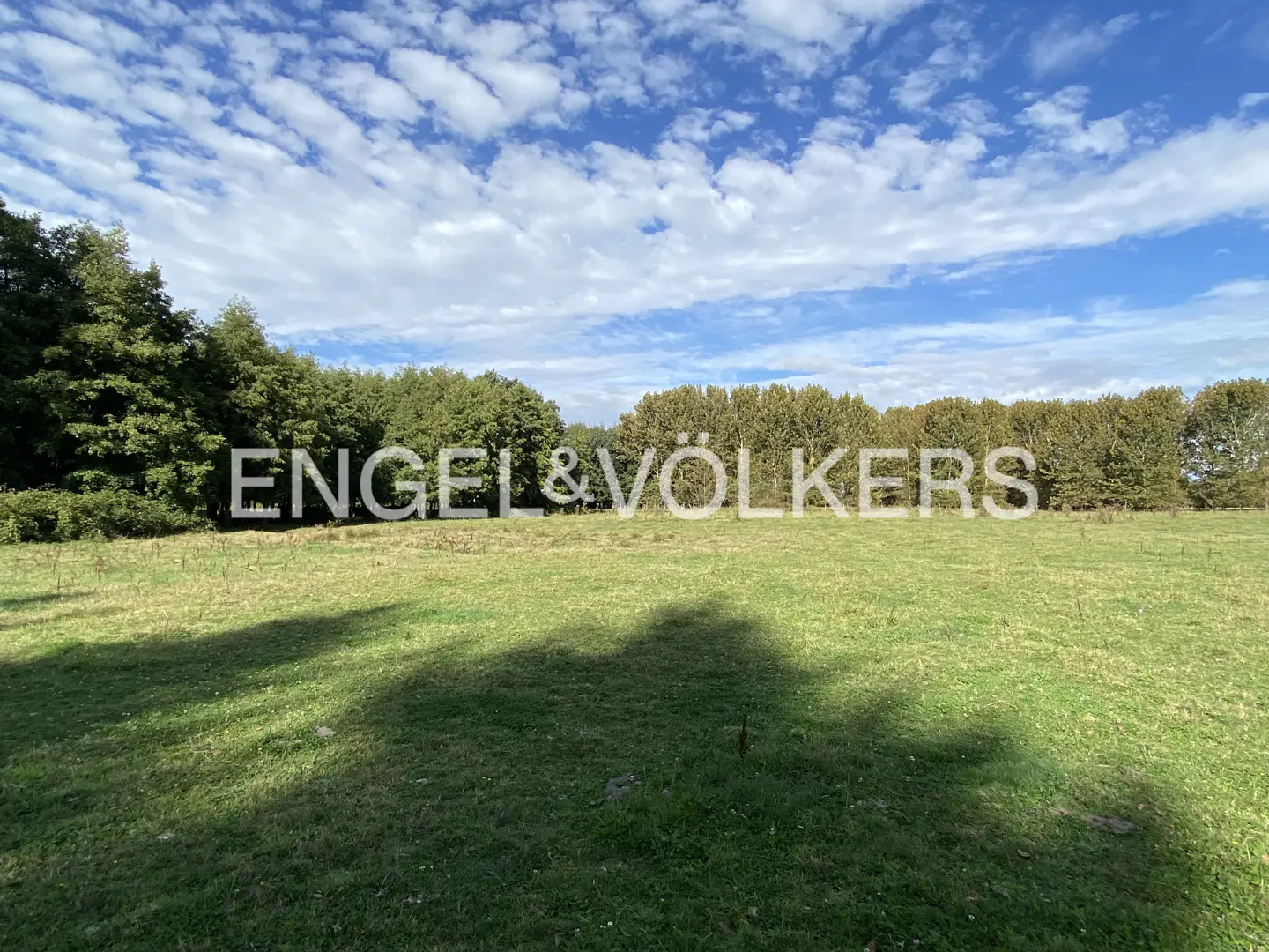 Green field with trees under a blue sky with clouds. "Engel & Völkers" is superimposed on the image.