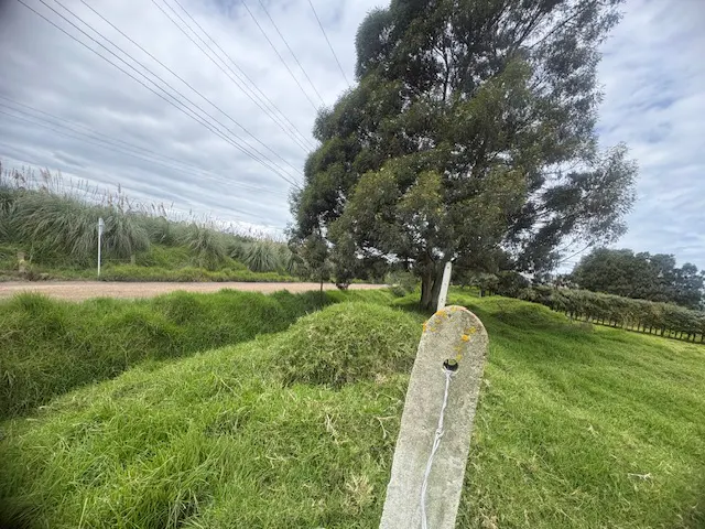 A rural scene with a dirt road, green grass, a large tree, and a weathered concrete post in the foreground. Overhead power lines are visible.
