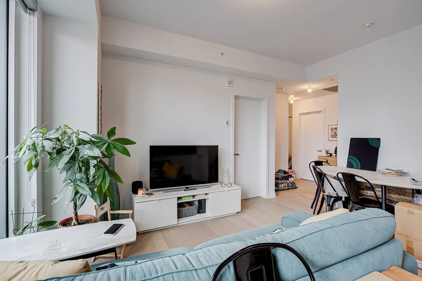 Bright living room with a blue sofa, TV on a white stand, and a dining area with black chairs. A large window and plants add natural light.