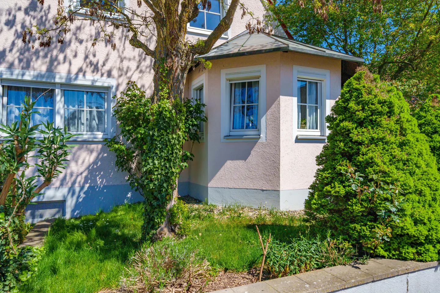 A pink house with white trim has a tree with ivy growing on it in the front yard.