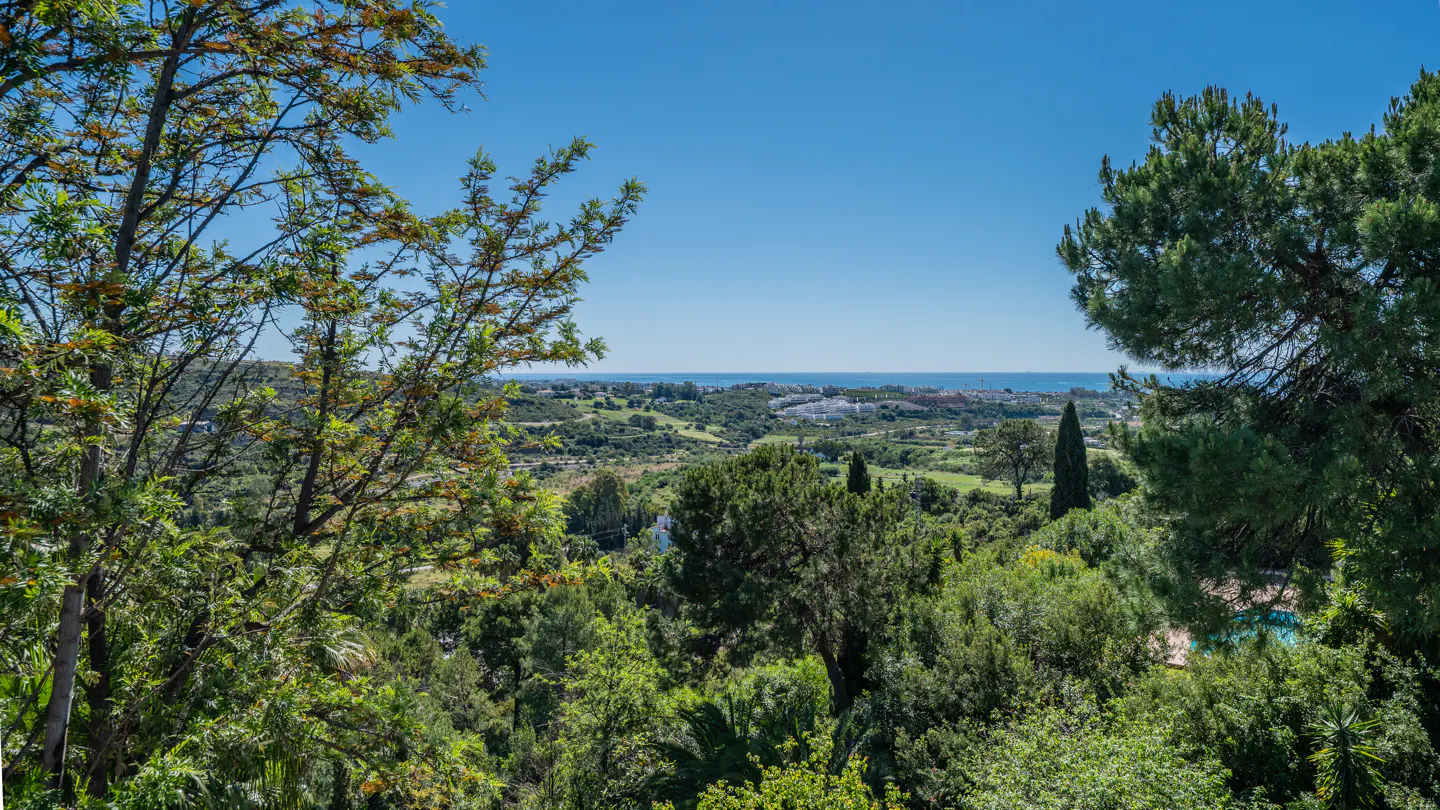 Scenic view of lush green landscape with trees, hills, and distant buildings under a clear blue sky.