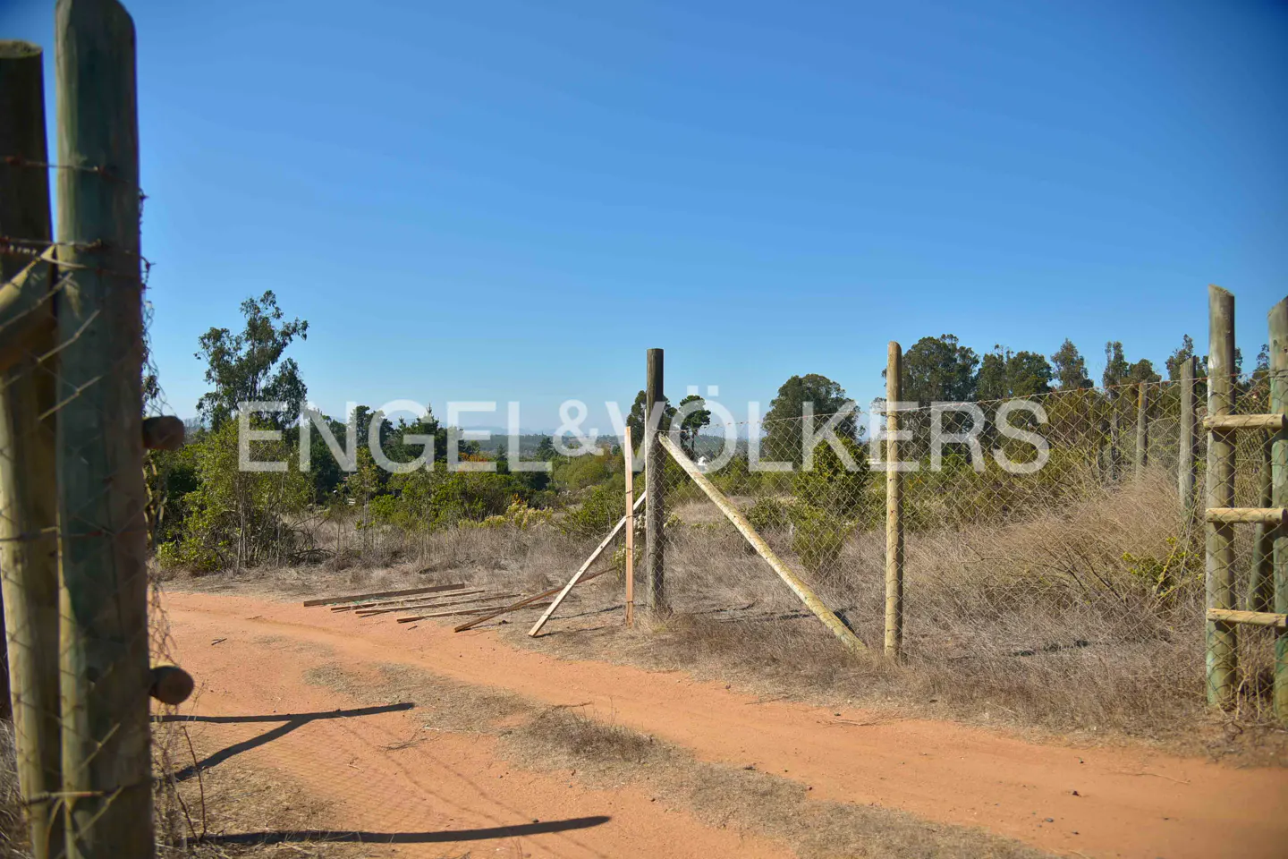 Gravel road leads through an open wire fence gate into a wooded area under a clear blue sky.