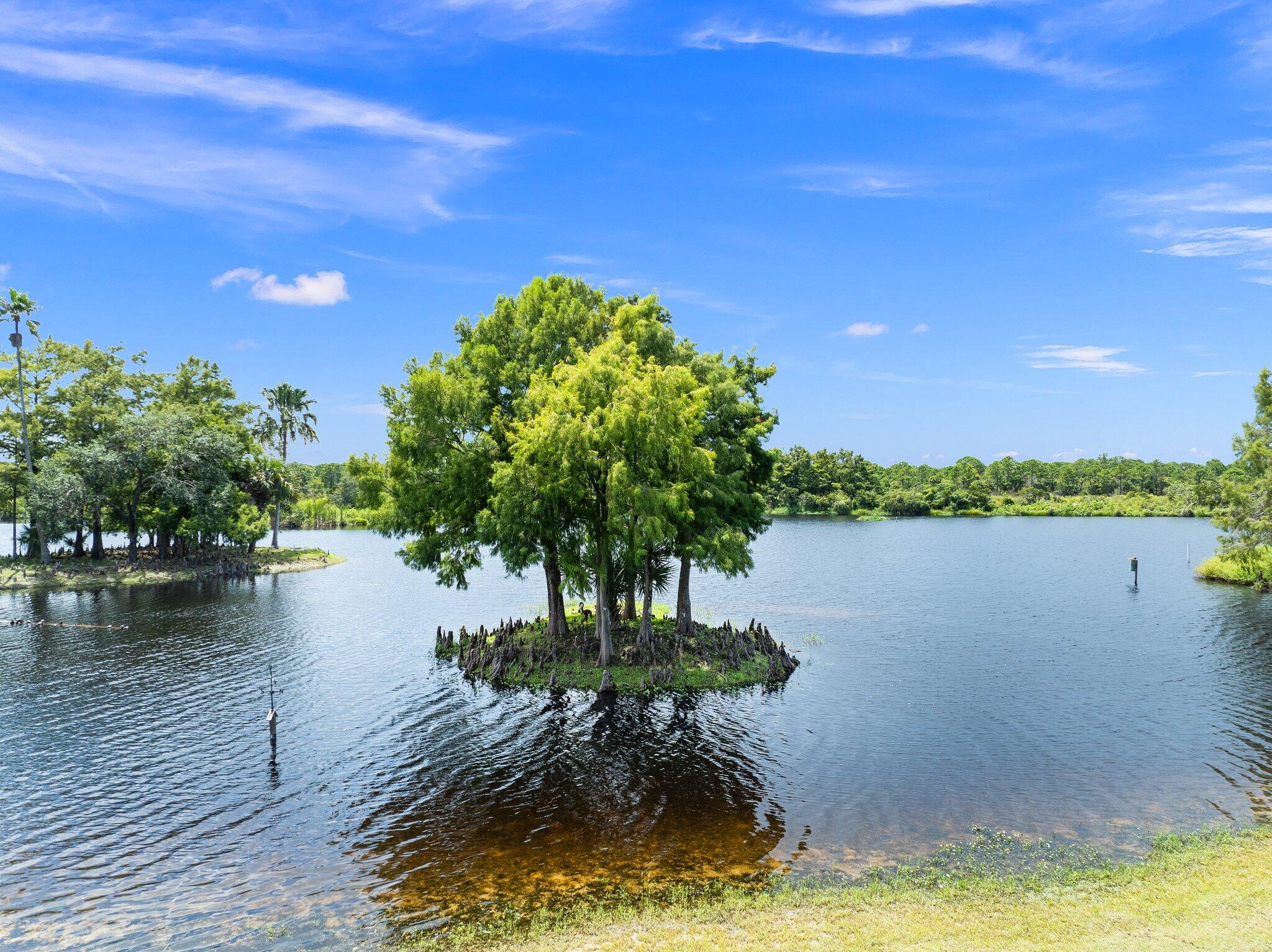 Lakefront Living With Guest House and Vacant Lot