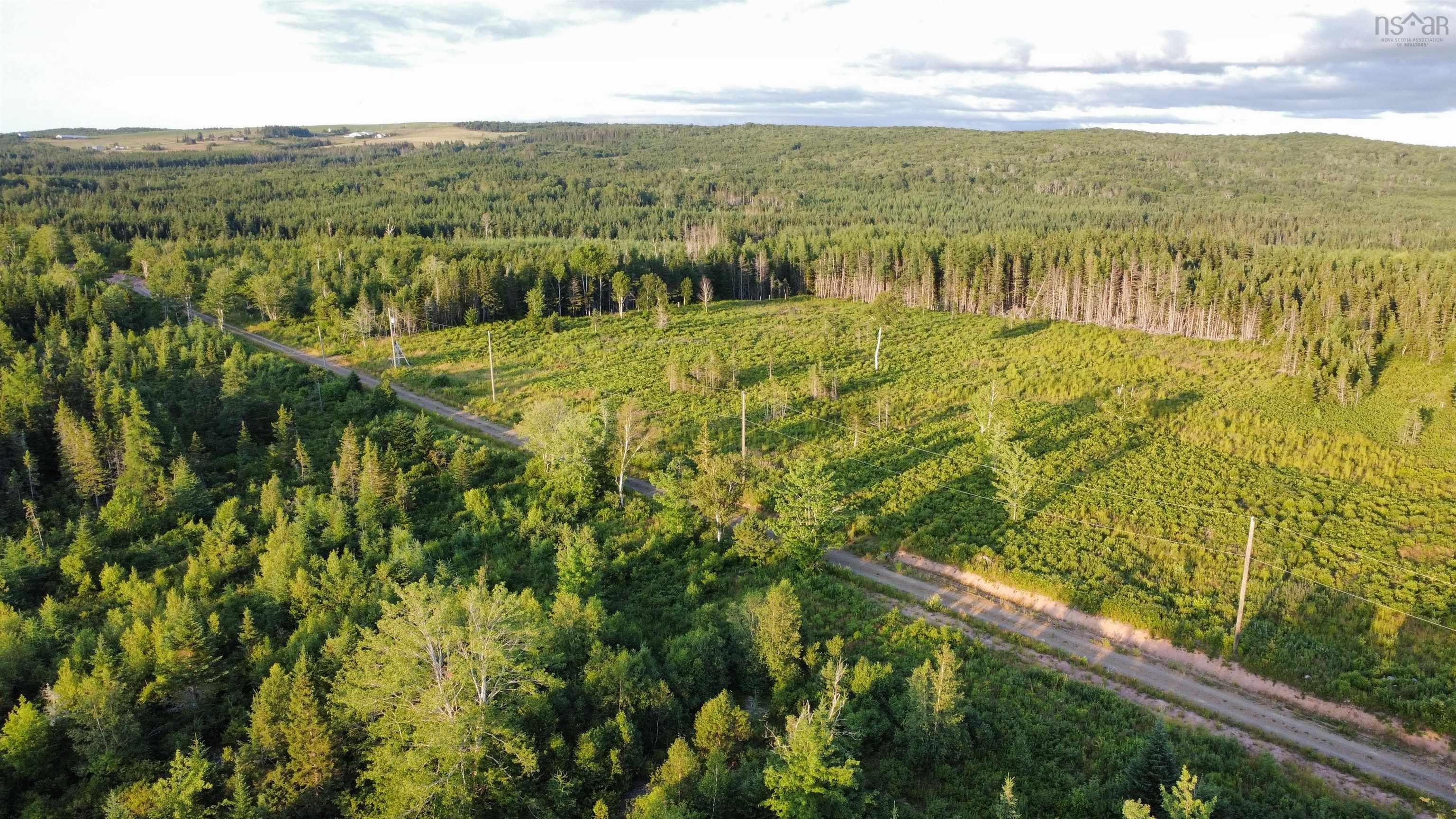 Ready to Build Your Dream Home on Alpine Ridge?