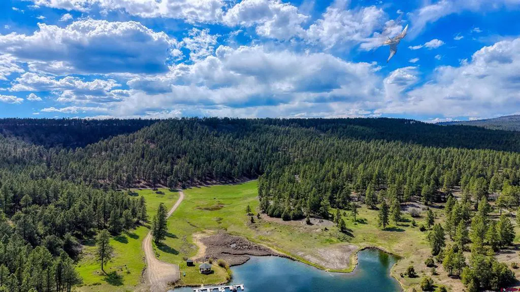 Aerial view of a lake surrounded by a dense green forest under a blue sky with white clouds.