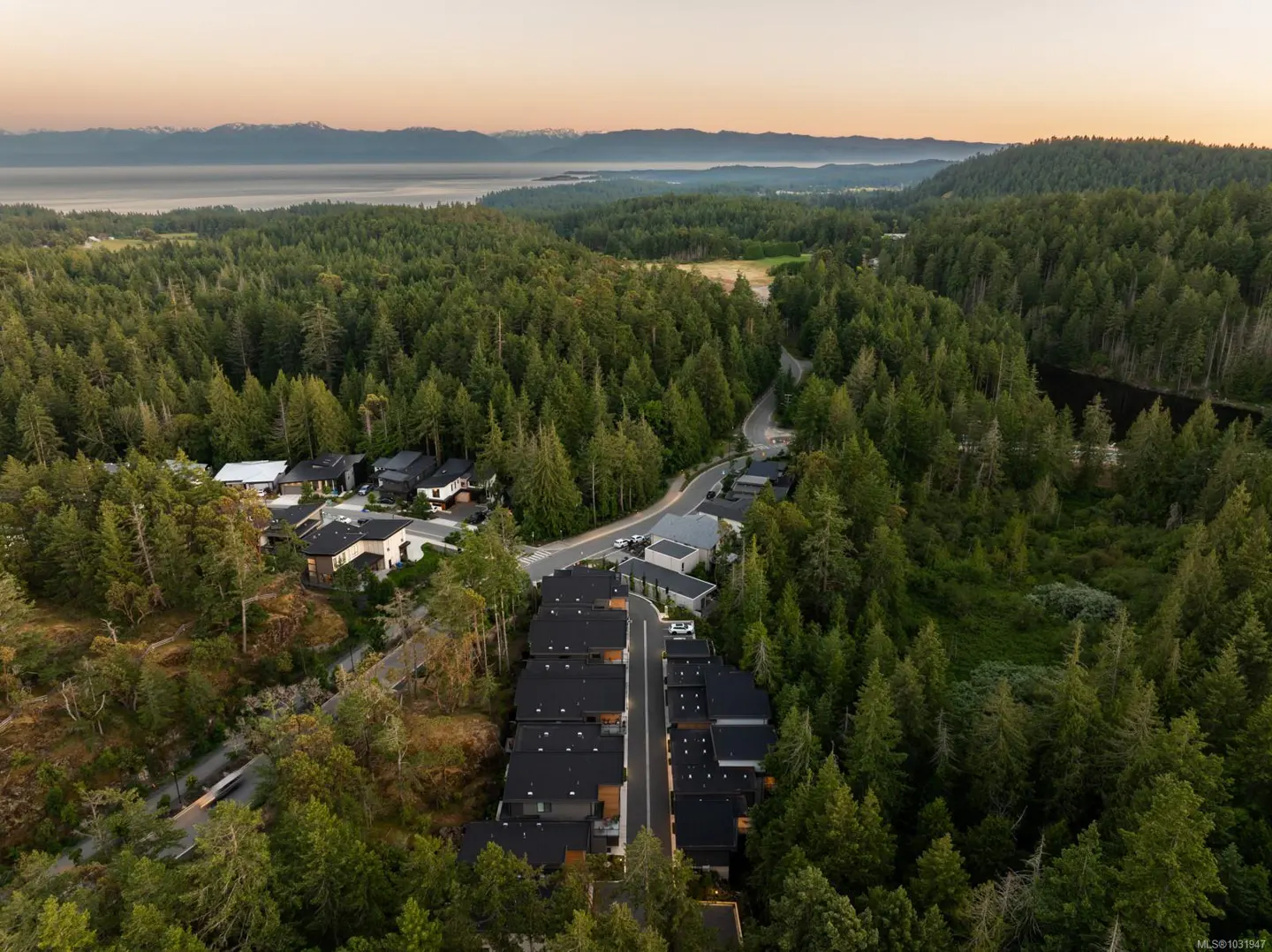 Aerial view of modern homes nestled in a lush green forest, with mountains and a lake visible in the distance.