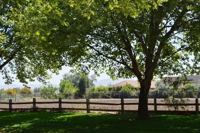 Lush green trees frame a rustic wooden fence, beyond which lies a field and a glimpse of a house.