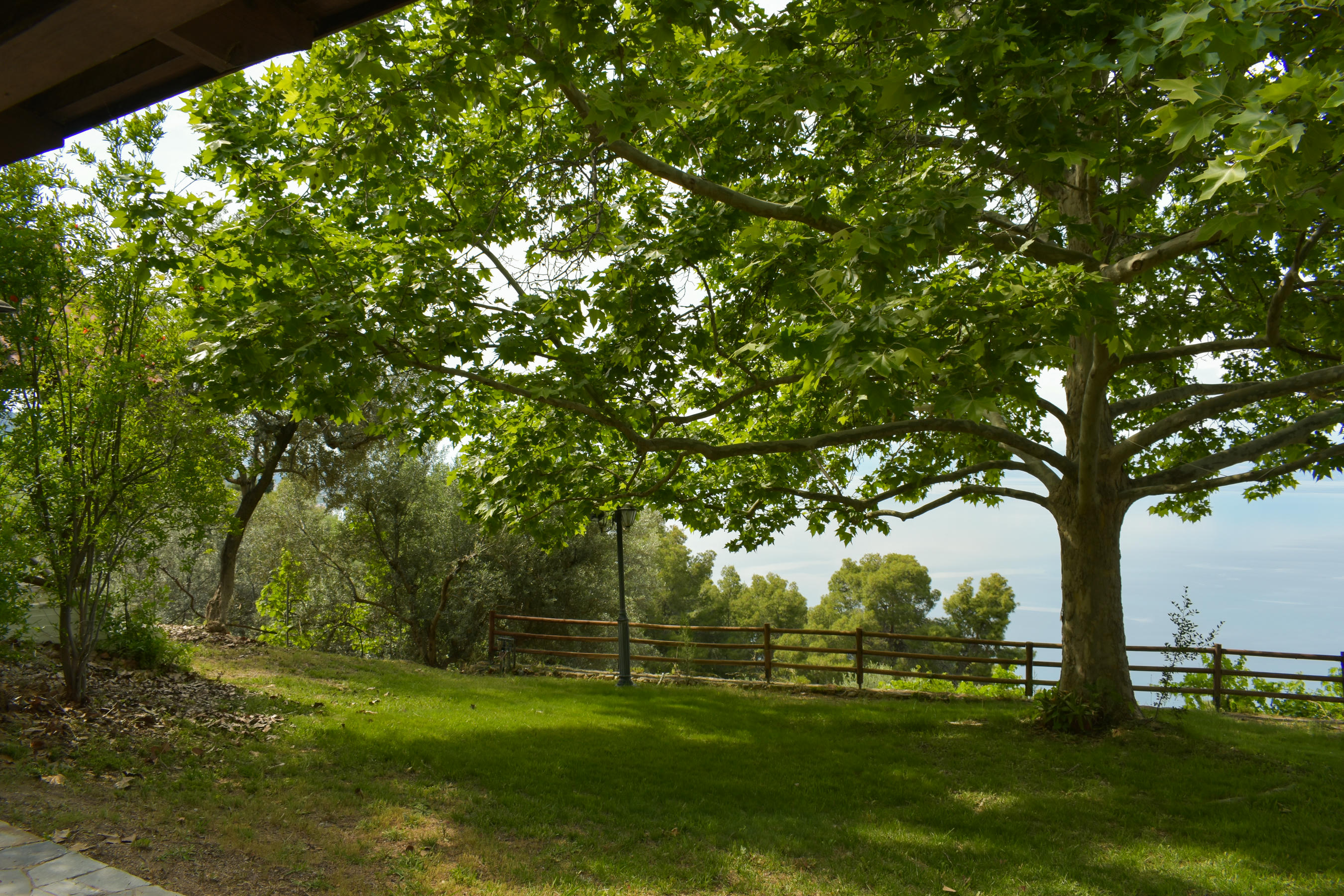 Detached residence with guest house on a green 8,000 sq.m. estate in Derveni, Corinthia