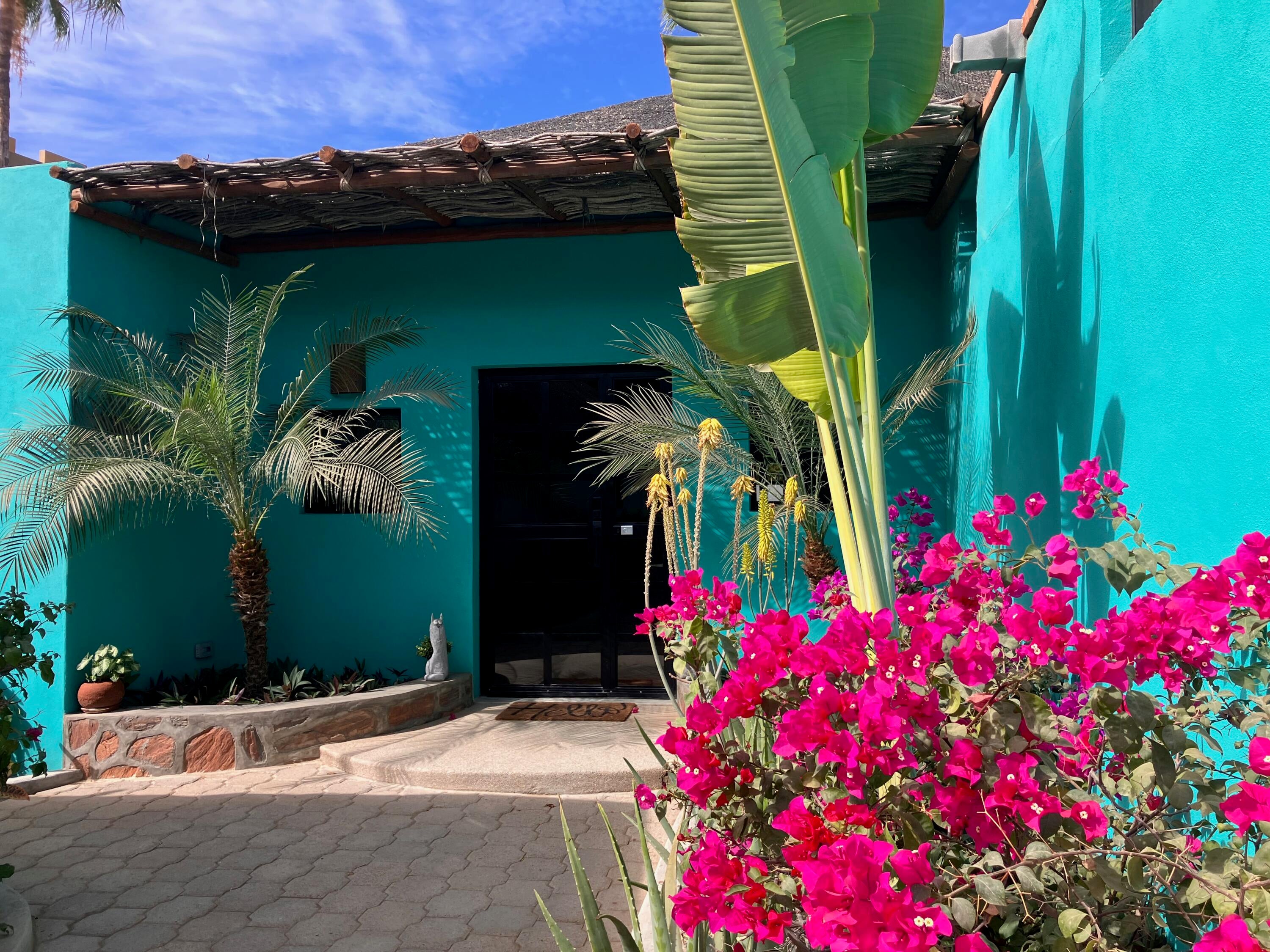 CASA TURQUESA 9 Mutualismo