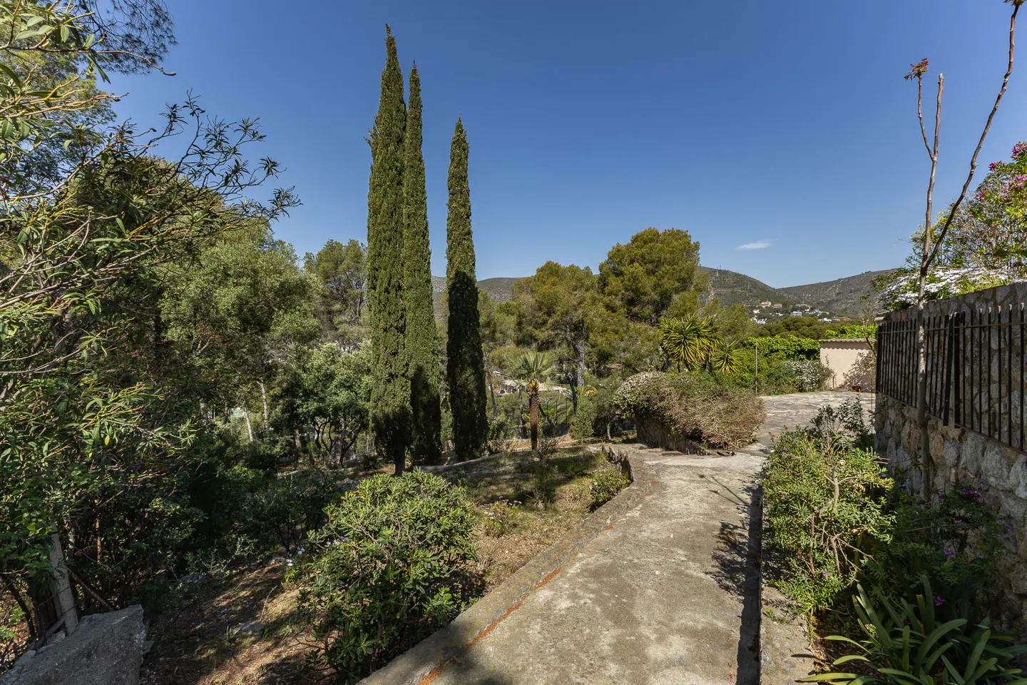 Outdoor view of a property with tall trees, green foliage, and a stone pathway under a clear blue sky.