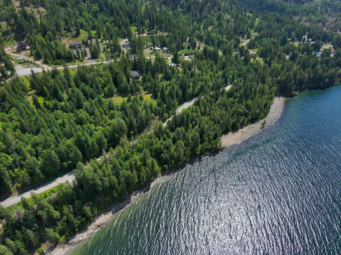 Aerial view of a lake shoreline with a dense green forest, a road, and scattered houses.