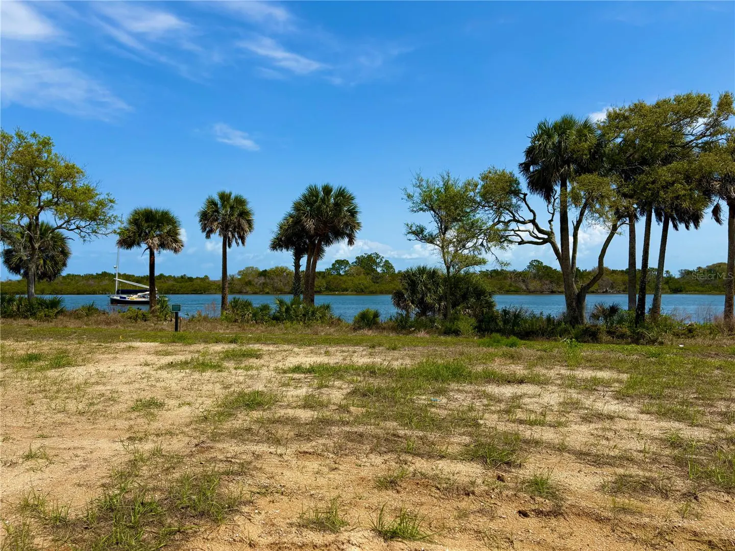 Vacant lot with palm trees and a sailboat on the water under a blue sky.