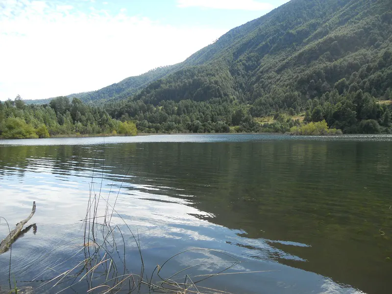 Scenic view of a calm lake reflecting the sky, surrounded by lush green trees and a mountain backdrop.