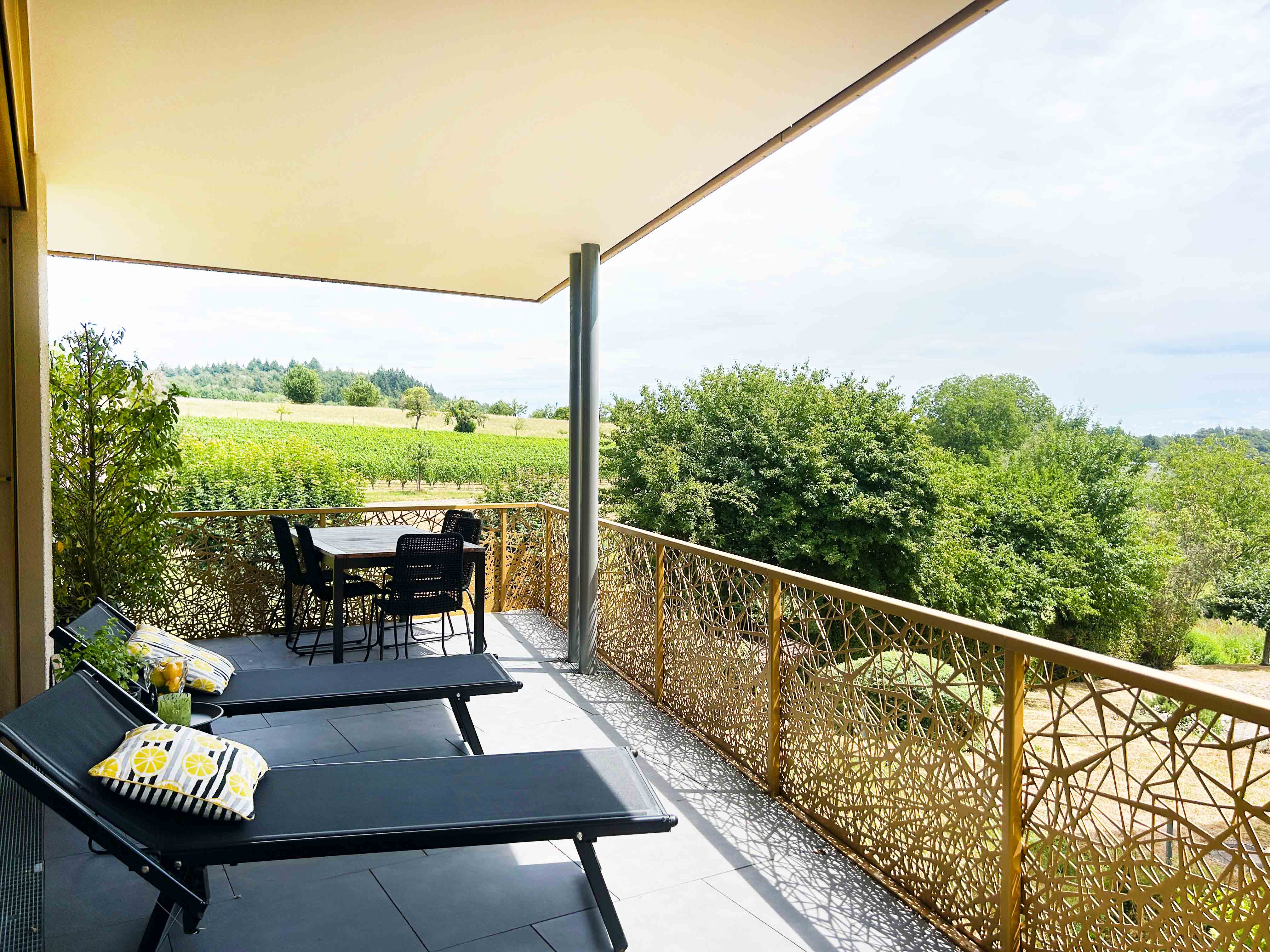 Modern wohnen mit traumhaftem Blick auf Weinberge und Bodensee