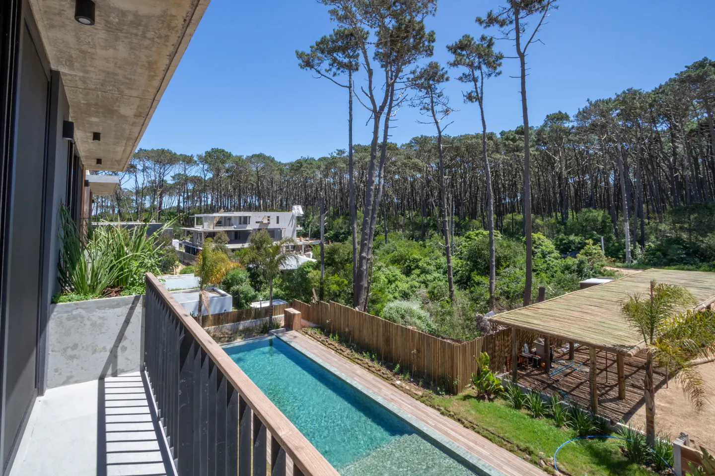 View from a balcony overlooking a pool, cabana, and forest. The pool is long and narrow, and the cabana has a thatched roof. Tall trees fill the background.