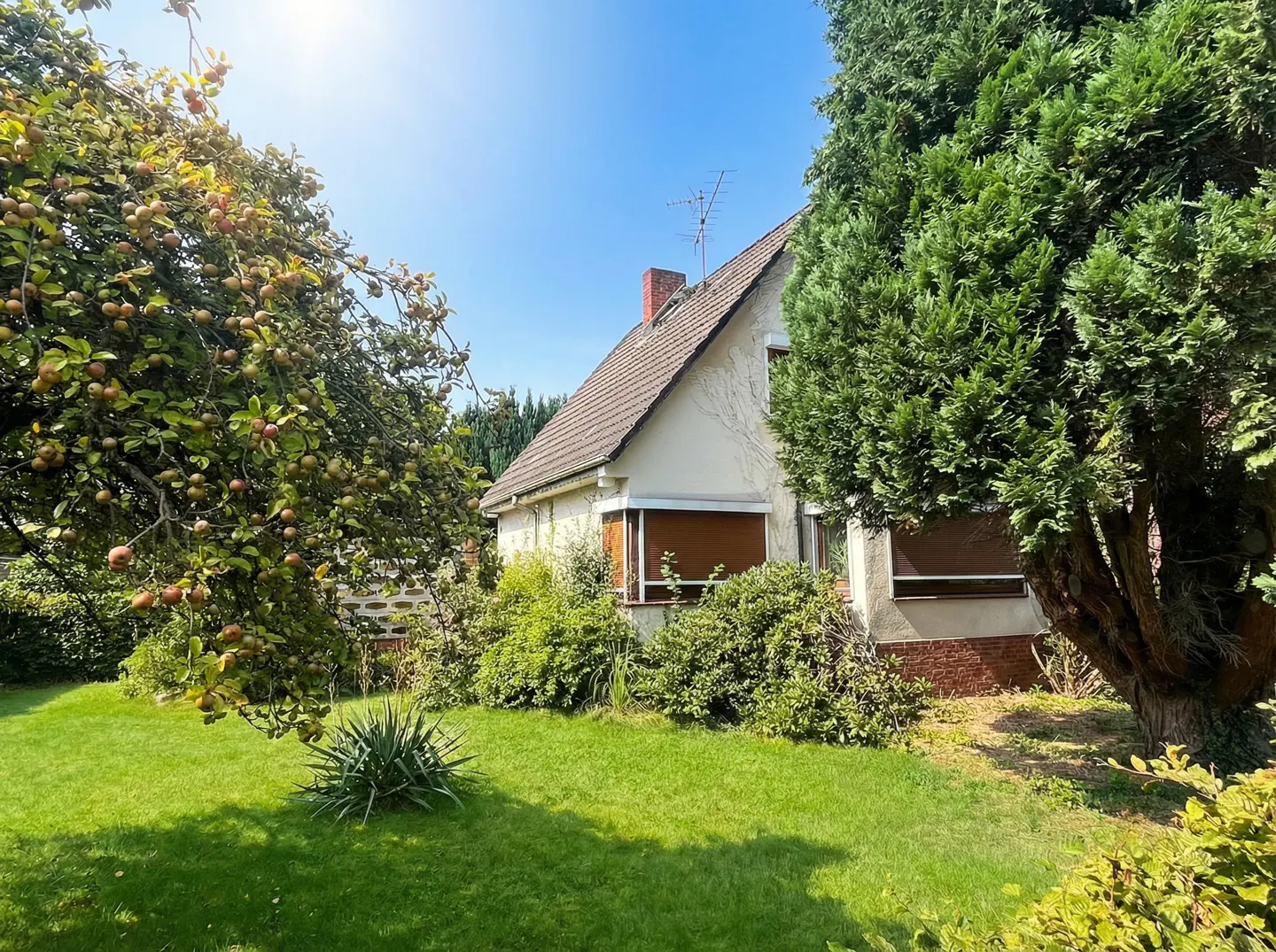 A white house with a brown roof is surrounded by green trees and grass on a sunny day.