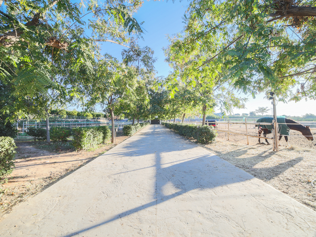 Equestrian estate in Bétera
