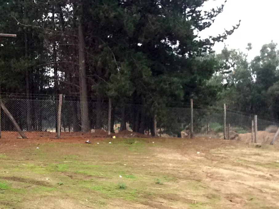 A view of a wooded area with a chain-link fence and a grassy field in the foreground.