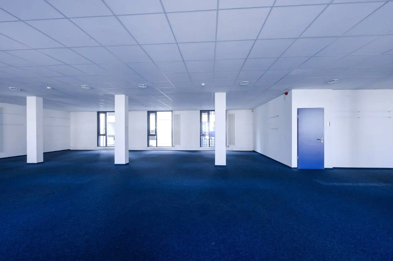 Empty office space with blue carpet, white walls, and a blue door. White support columns and windows are visible.