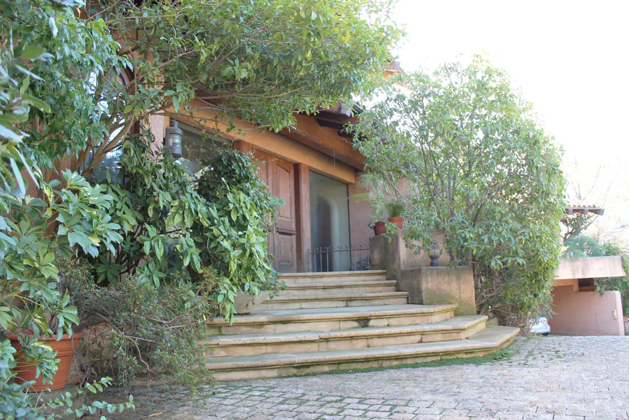 Stone steps lead to a wood door and large window, framed by lush green foliage. A stone path leads to the steps.