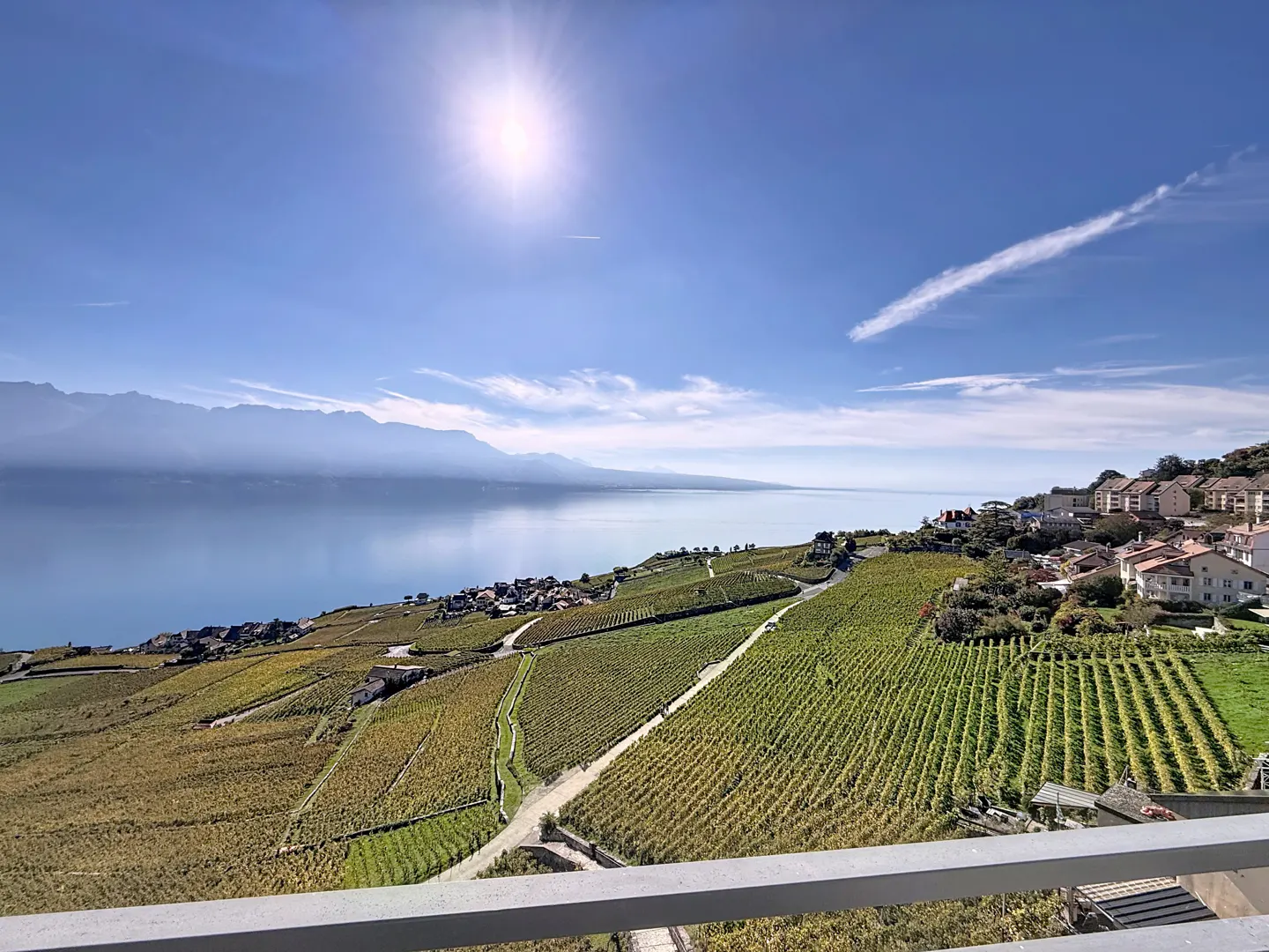 Sunlit view of terraced vineyards sloping down to a calm lake with distant mountains under a clear blue sky.