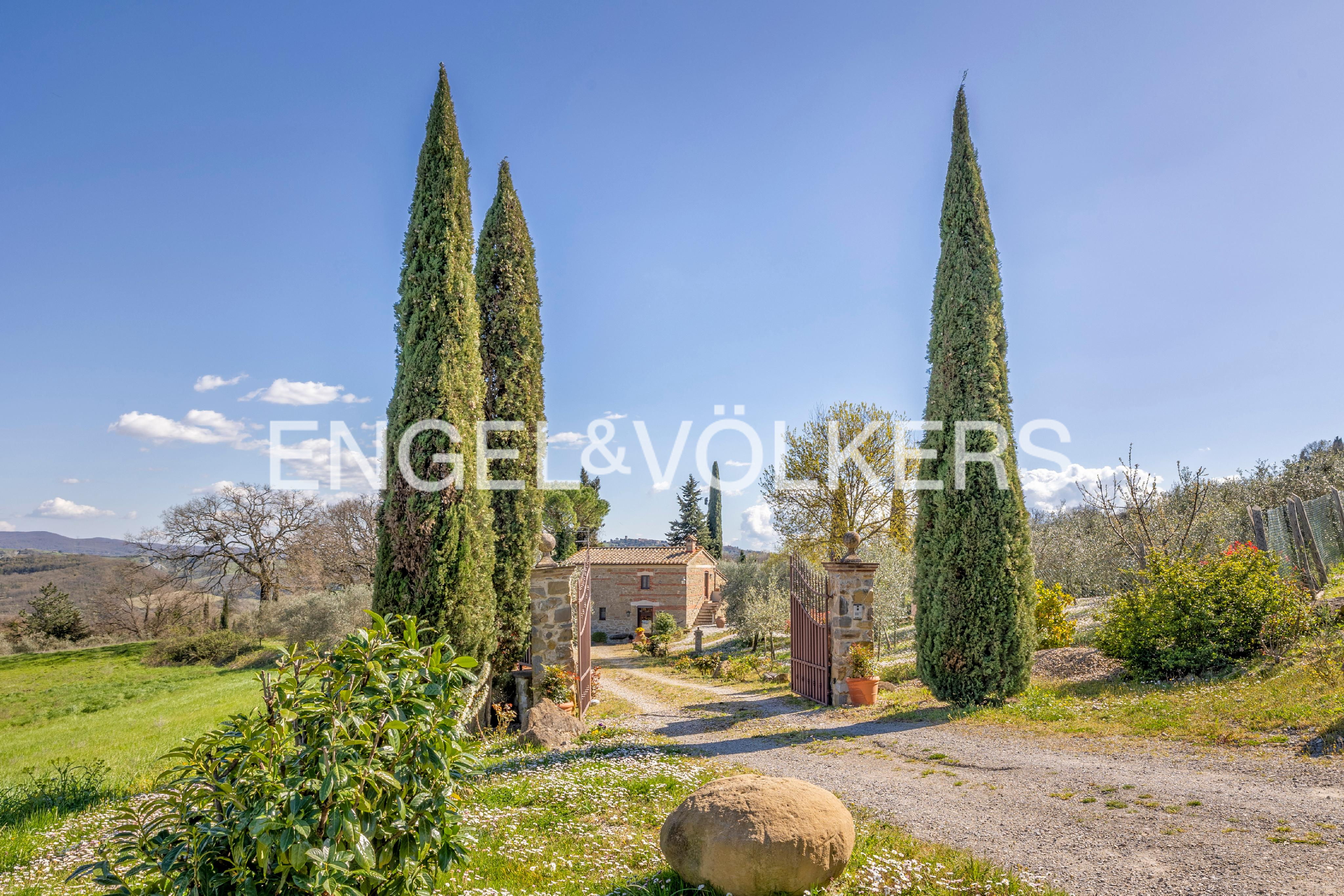 Tuscan villa entrance with tall cypress trees framing a stone gate and gravel driveway leading to a stone house under a blue sky.