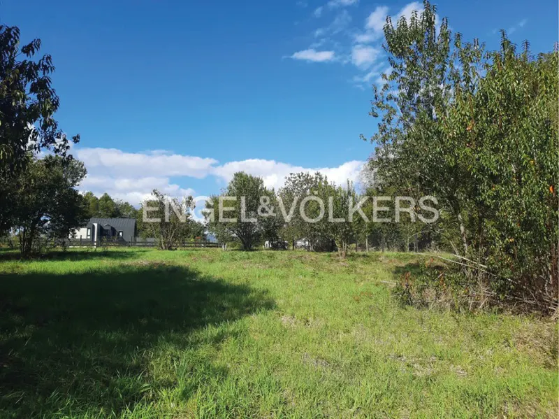 A grassy lot with trees under a blue sky with clouds. A modern house is visible in the background.