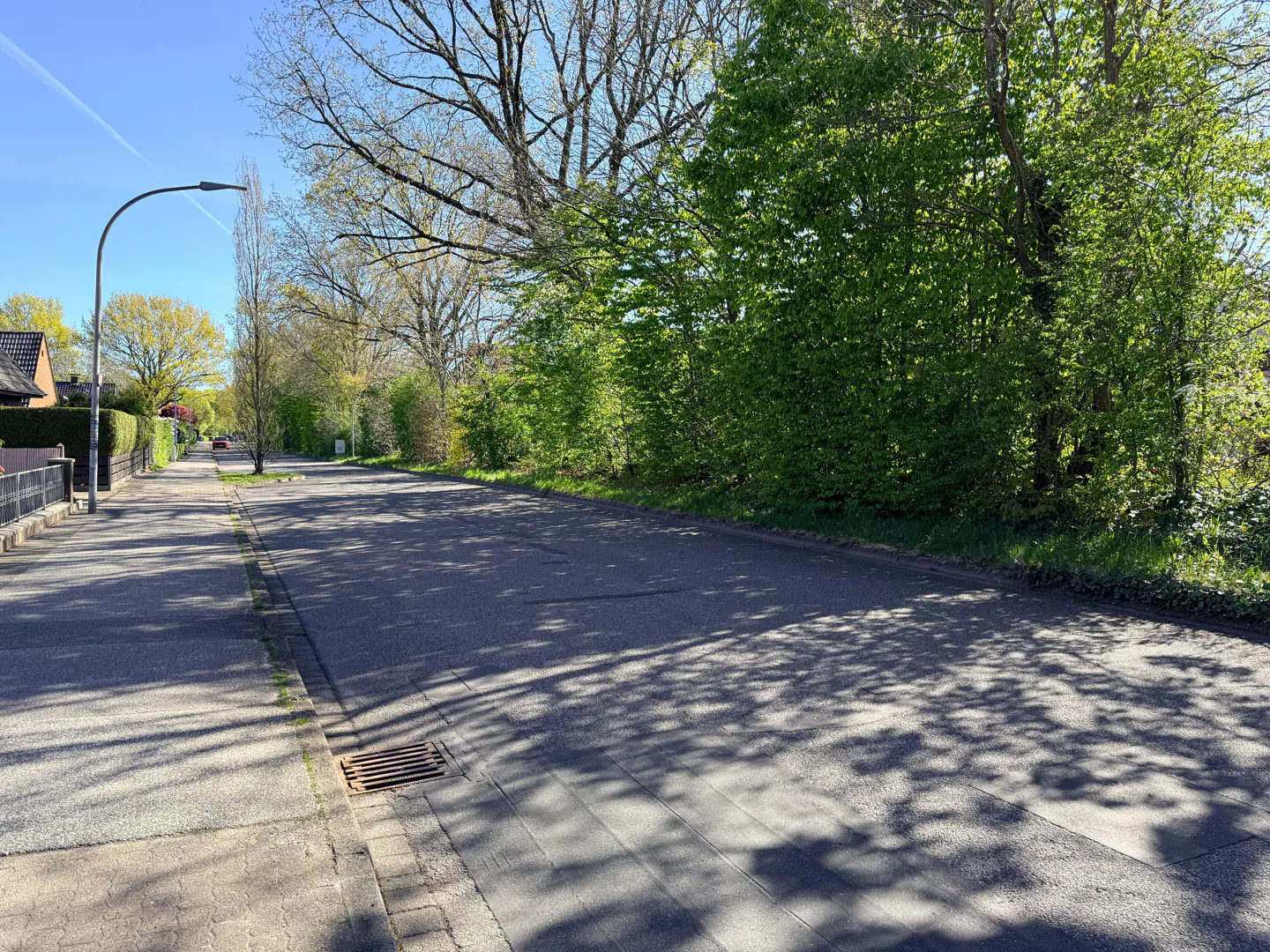 A quiet street with tree shadows on the asphalt. A sidewalk runs along the left, with houses and trees visible. A street lamp stands tall.