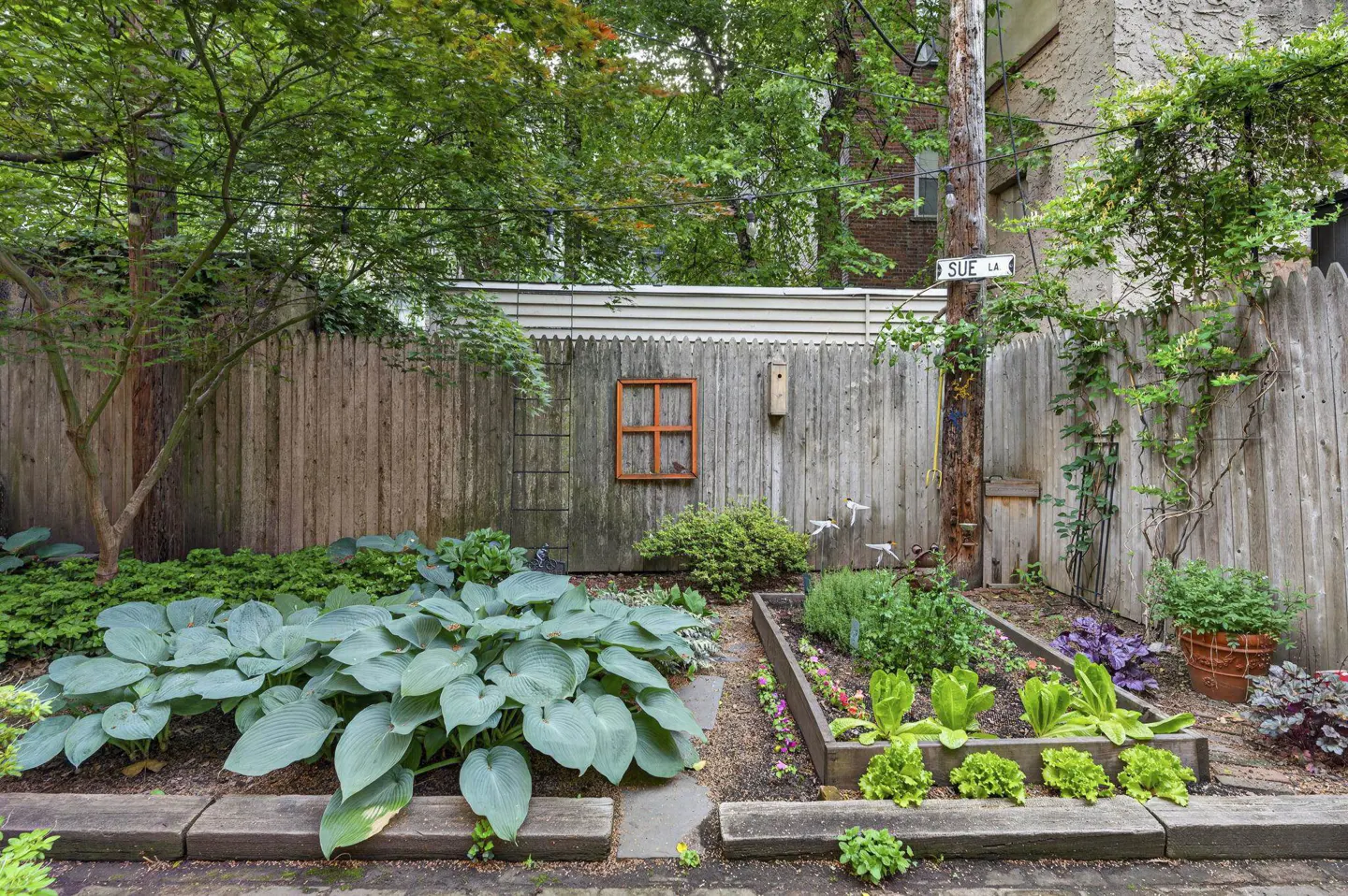 A lush backyard garden featuring a wooden fence, a raised vegetable bed, large hosta plants, and a decorative wall frame.