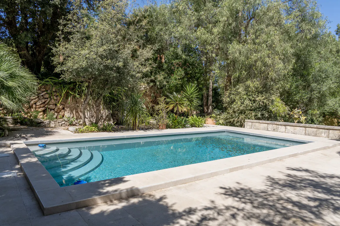 Rectangular in-ground pool with turquoise water, surrounded by stone patio and lush green trees. Steps lead into the pool.