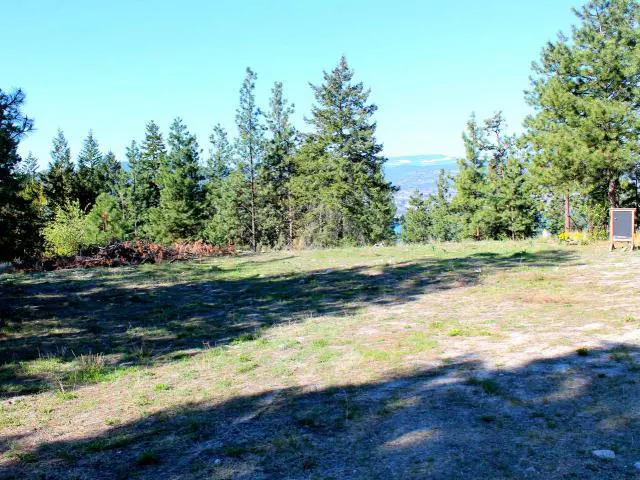 A grassy lot with tall green trees under a blue sky. A lake is visible in the distance. A black sign stands on the right.