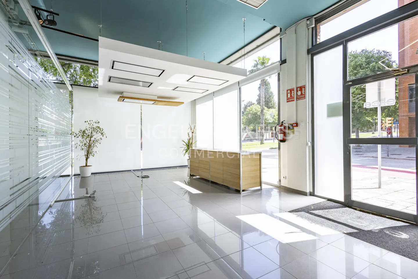 Bright, modern office lobby with gray tile floor, wood reception desk, and large windows. A plant sits near a frosted glass wall.