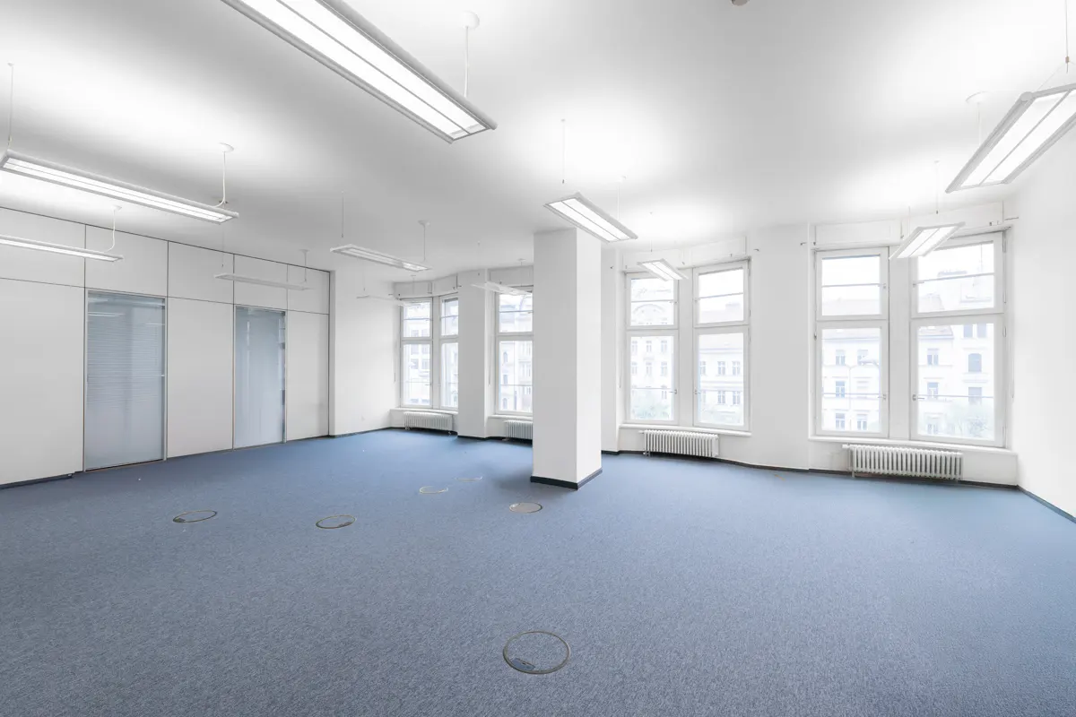 Bright, empty office space with blue carpet, white walls, and large windows. Overhead fluorescent lighting illuminates the room.