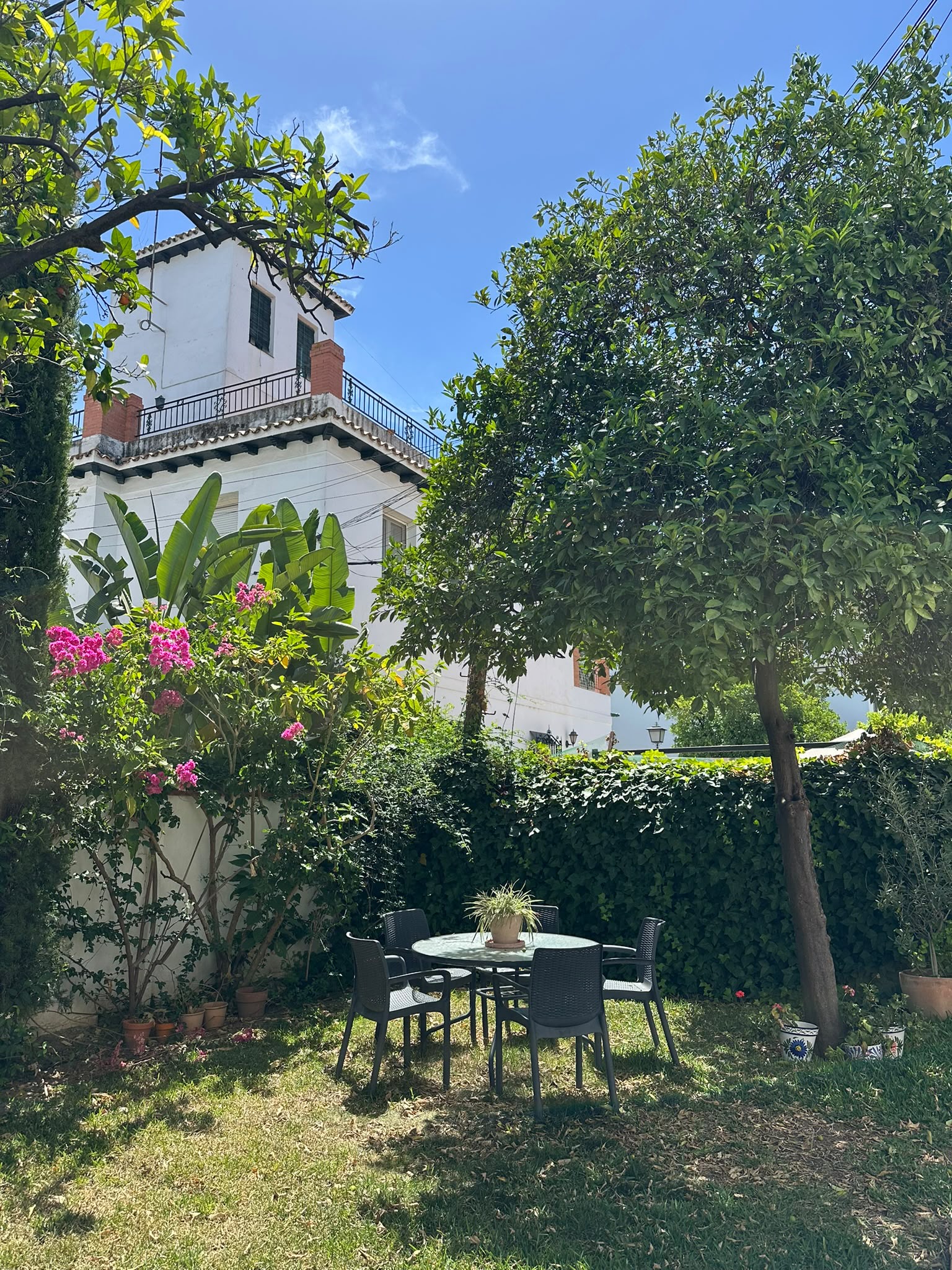 Exclusive Restored 1929 Residence in Heliópolis, Seville | Private Garden, Terrace, and Patio next to Guadaira Park