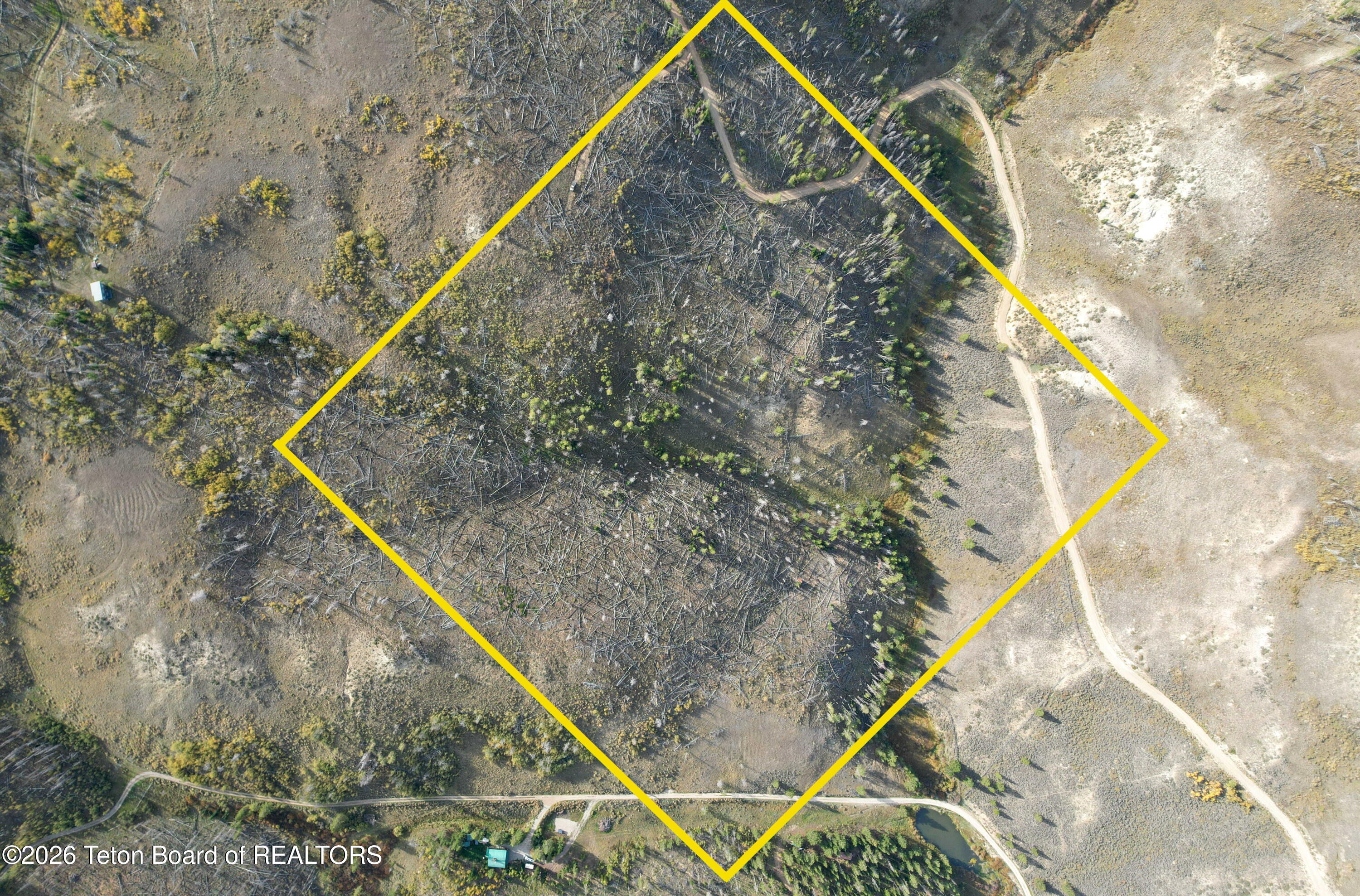 40 Acres of Wyoming Wilderness