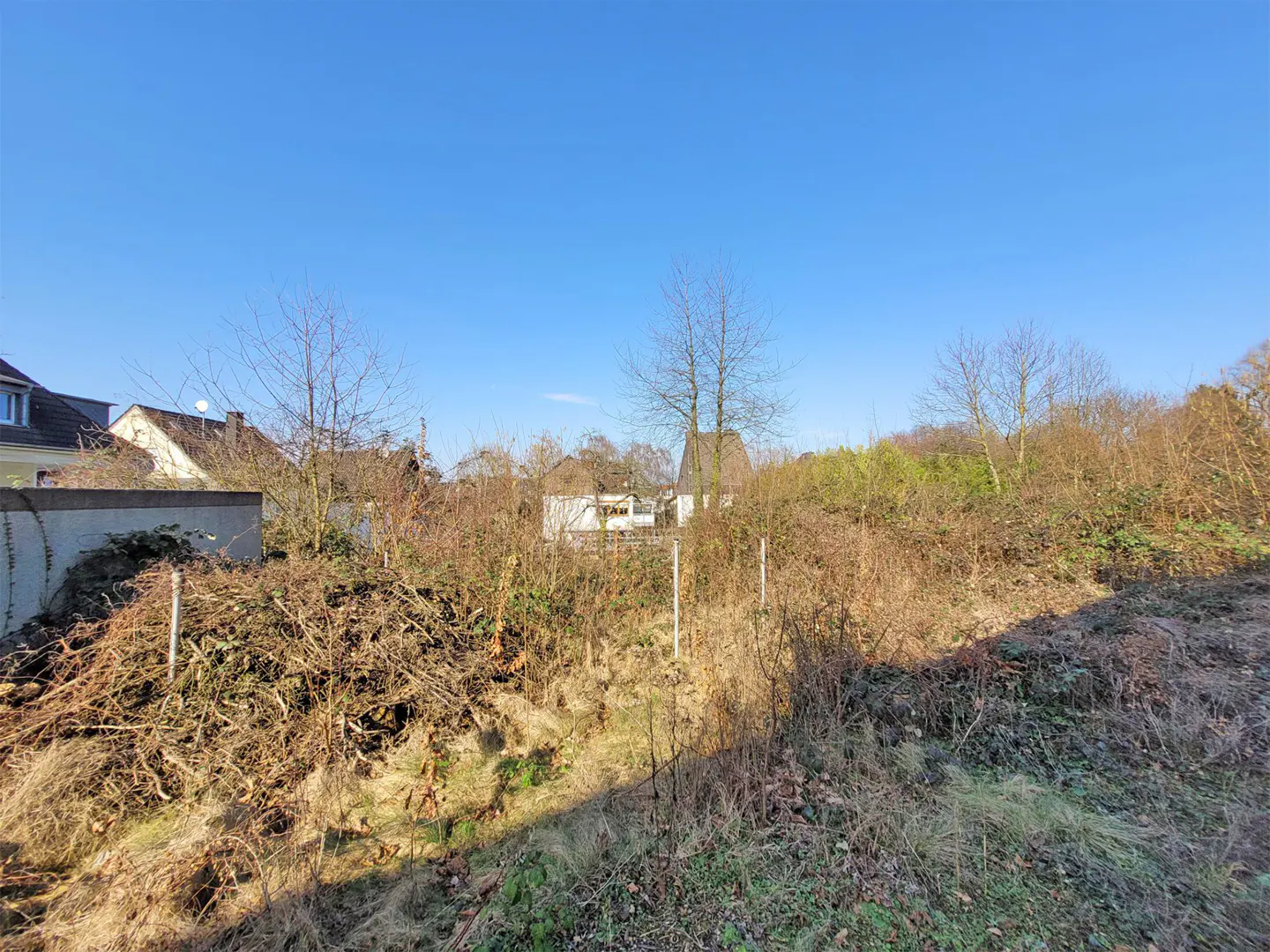 Vacant lot with overgrown brush and small trees under a clear blue sky. Houses are visible in the background.