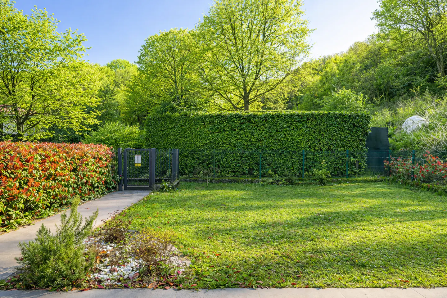 A lush green lawn with a tall hedge and trees under a blue sky. A gate leads to the yard.